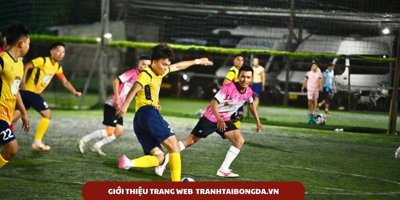 Giới thiệu về trang tin Tranhtaibongda.vn